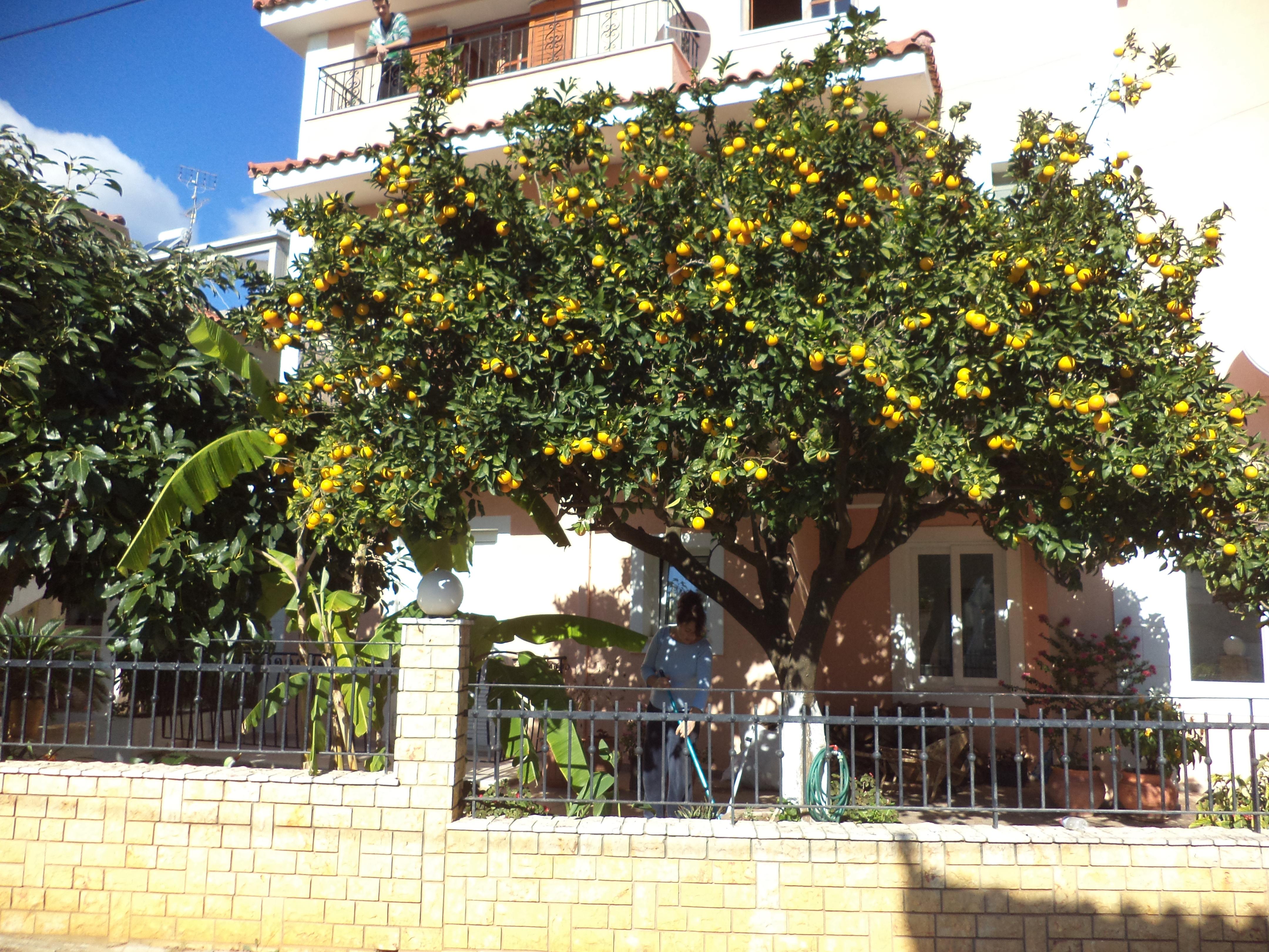 Dionysios Studios Skala  Exterior foto